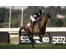  Carrera: P.Alberto Domper Caballo: Eolo Monta: D.Sikorova